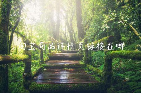 淘寶商品詳情頁(yè)鏈接在哪